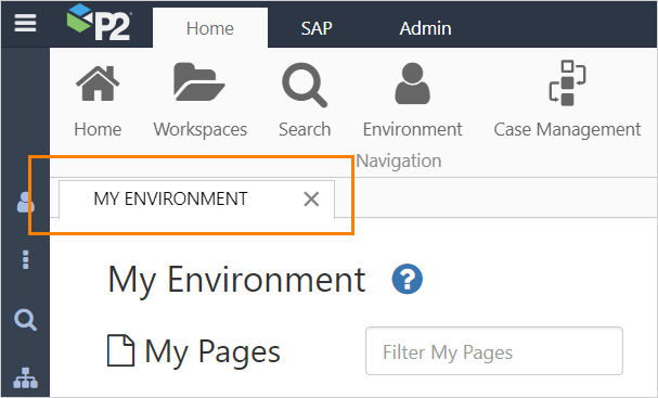 Screenshot of My Environment tab