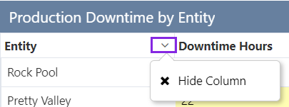 Screenshot showing the data table header